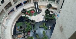 Luxury Suite, Radission Blue, Dwarka City Centre, New Delhi